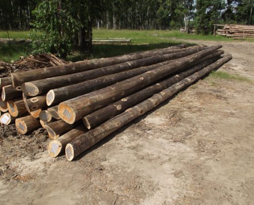 postes impregnados eucalipto