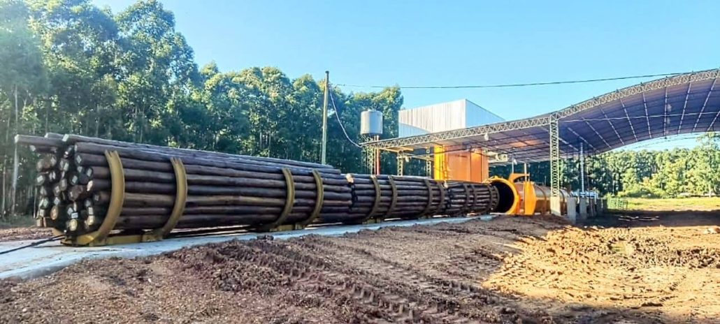 Productor de Eucalipto Impregnado