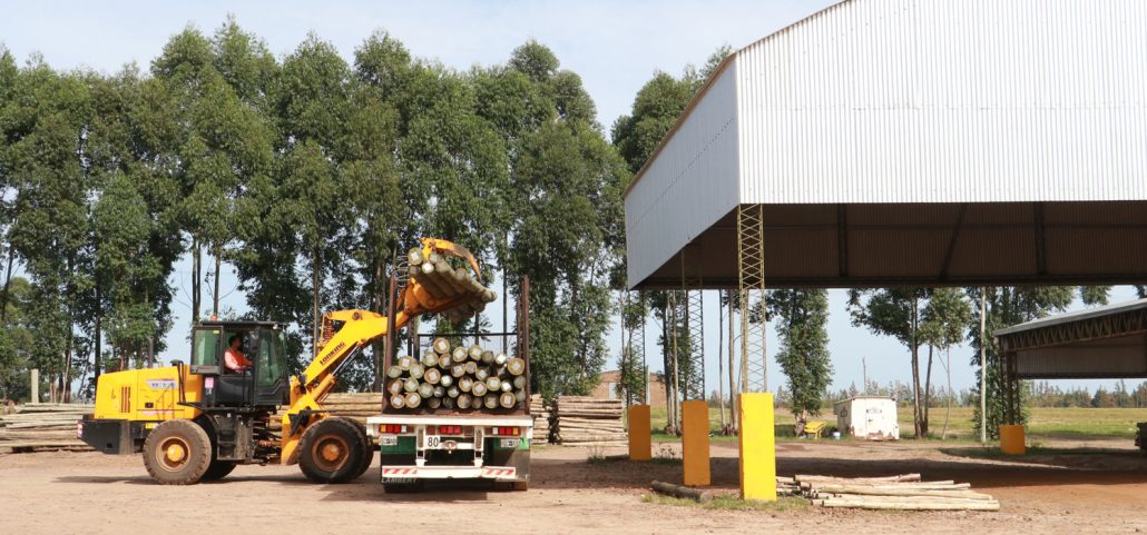 Productor de postes impregnados