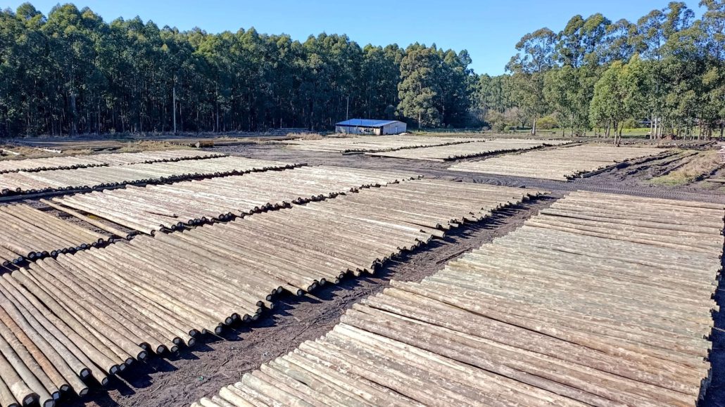 Eucalipto impregnado C-CCA